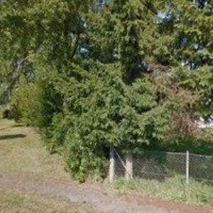 obrazek: avatar AUTO BOŇA