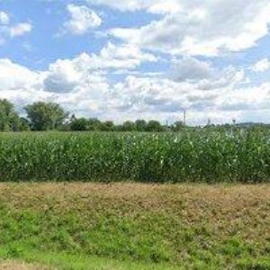 obrazek: avatar JIRSA RICHARD