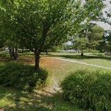 POKORNÝ ROBERT-PNEUSERVIS