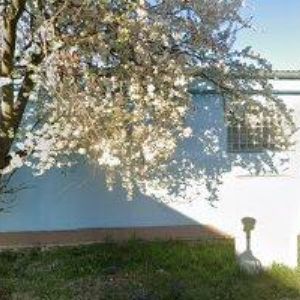 obrazek: avatar STRECK GUSTAV