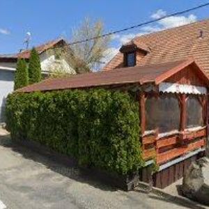 obrazek: avatar POLEDNA MARTIN