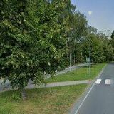 NILABOVIČOVÁ JITKA