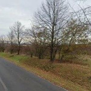 obrazek: avatar JAVO