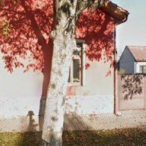 obrazek: avatar LASKI, s.r.o.