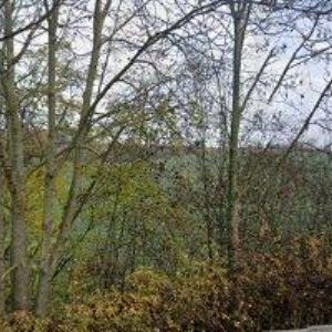 obrazek: avatar NEDBAL PETR