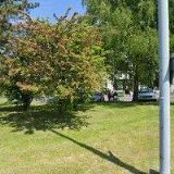 ČALOUNICTVÍ MAŘEC