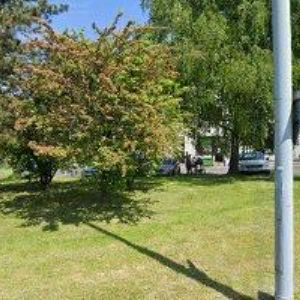 obrazek: avatar ČALOUNICTVÍ MAŘEC