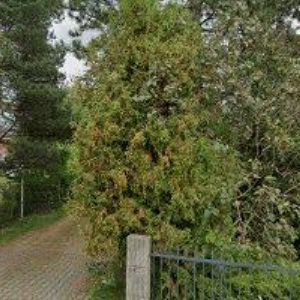 obrazek: avatar BARTOŇ JIŘÍ