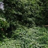 AUTOVRAKOVIŠTĚ PRUNÉŘOV