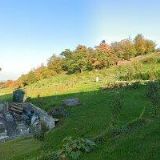 KARPET DŘEVO s.r.o.