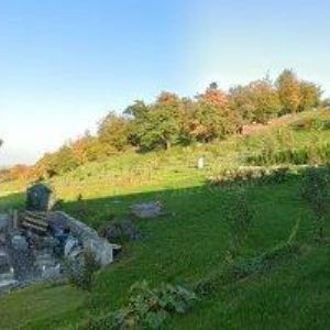 obrazek: avatar KARPET DŘEVO s.r.o.