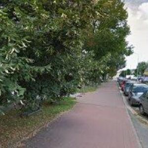 obrazek: avatar KUNC RADOVAN Ing.