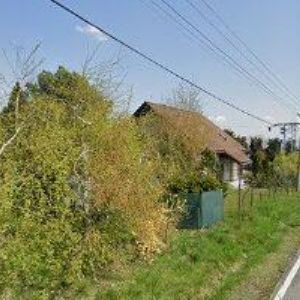 obrazek: avatar PIRATE DIVE