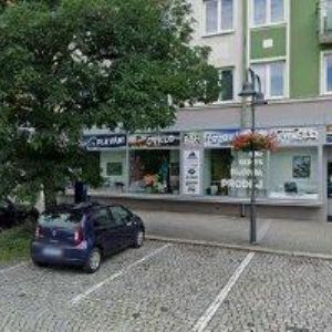 obrazek: avatar CA FALCON SPORT