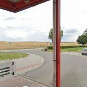 obrazek: avatar ZMRZLINA VOJTICE