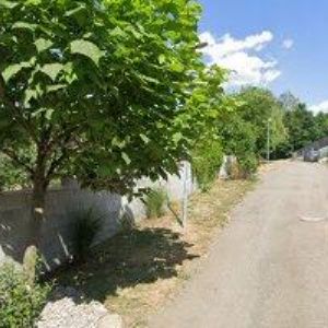 obrazek: avatar BAREŠ JIŘÍ Mgr.-PŘEKLADY TLUMOČENÍ