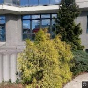 obrazek: avatar REGIONÁLNÍ CENTRUM OLOMOUC s.r.o.