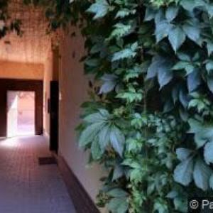 obrazek: avatar EXCEL-JAZYKOVÉ CENTRUM, s.r.o.