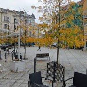 obrazek: avatar SVAZ NESLYŠÍCÍCH A NEDOSLÝCHAVÝCH OSOB V ČR, OSTRAVSKÝ SPOLEK NESLYŠÍCÍCH