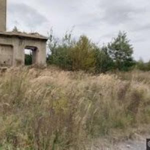 obrazek: avatar D8 APARTMENTS