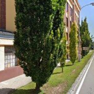 obrazek: avatar DANĚK ROSTISLAV