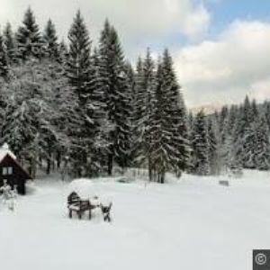 obrazek: avatar WELLNESS HOTEL POD KYČMOLEM