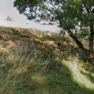 obrazek: avatar UBYTOVÁNÍ V SOUKROMÍ VYSOKÁ LÍPA