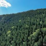 RESTAURANT & PENZION DRUHÝ MLÝN