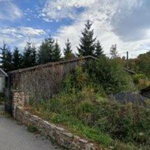 obrazek: avatar ADRENALIN PARK