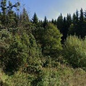 obrazek: avatar PENZION STUDÁNKA