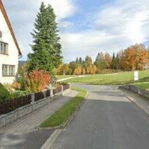 obrazek: avatar PENZION PAVEL