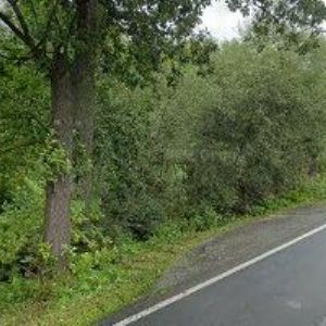 obrazek: avatar APARTMÁN U VLASTÍKA