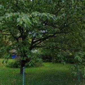 obrazek: avatar PENZION FIT