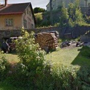 obrazek: avatar PENSION VLAĎKA