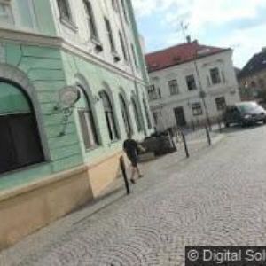 obrazek: avatar RŮŽEK PENZION