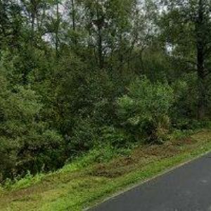 obrazek: avatar PENZION RŮŽE