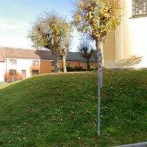 obrazek: avatar PENZION U TOMÁŠŮ