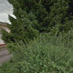 obrazek: avatar OH-MONT, s.r.o.