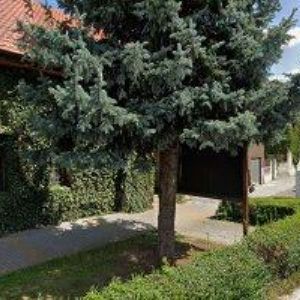 obrazek: avatar PENSION ALBERTA