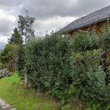 PENZION NOVÉ DOMKY A RESTAURACE NA DOMKÁCH