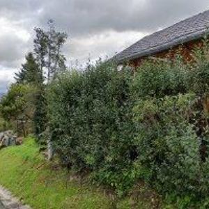 obrazek: avatar PENZION NOVÉ DOMKY A RESTAURACE NA DOMKÁCH