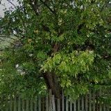 HOLIDAY HOUSE VÁPENNÁ