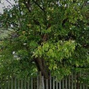 obrazek: avatar HOLIDAY HOUSE VÁPENNÁ