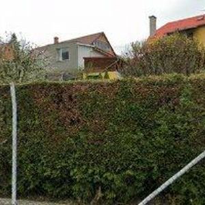 obrazek: avatar PENZION U HRADU ŠTERNBERK