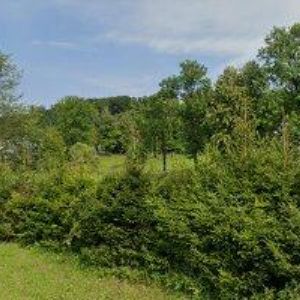 obrazek: avatar U SERVÁCE