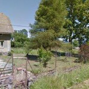 obrazek: avatar APARTMÁNY 55