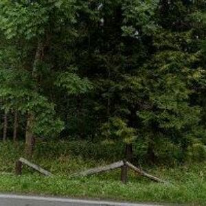 obrazek: avatar PENZIONEK U BABIČKY