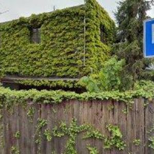 obrazek: avatar UBYTOVÁNÍ U KAPLE