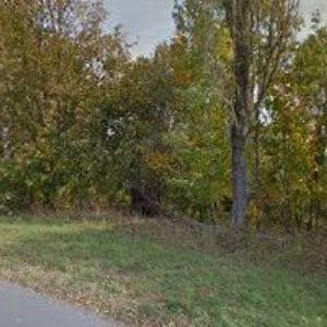 obrazek: avatar RESTAURACE FIRMA