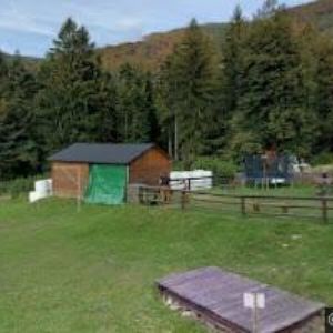 obrazek: avatar MICHALČÍK MAREK